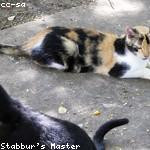 Sabina Vandervort Profile Picture