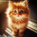 Sammy Beier Profile Picture